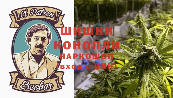 СК Арсеньев